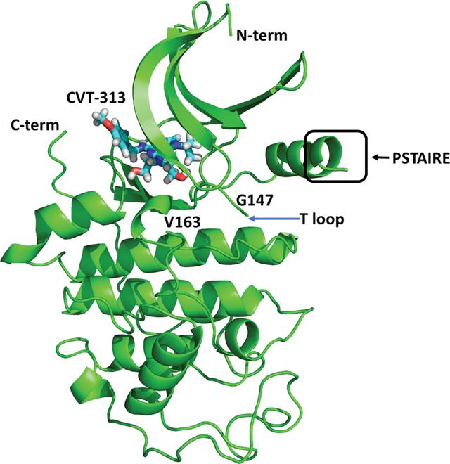 [Figure 4]