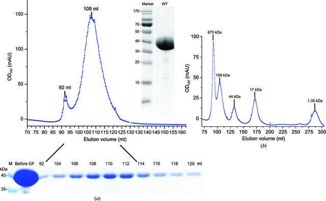 [Figure 1]