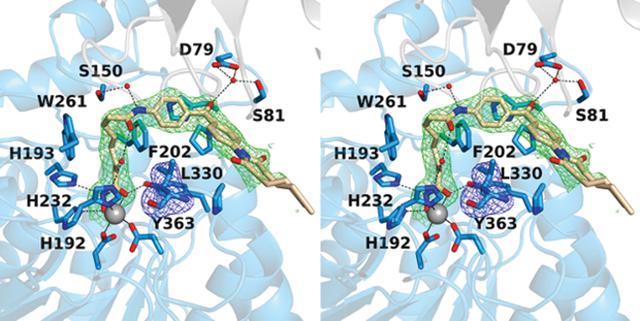 [Figure 3]