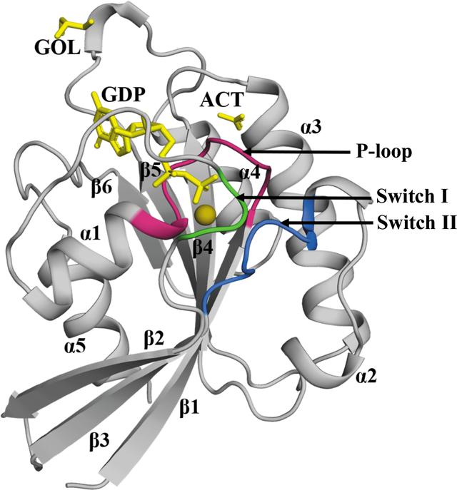 [Figure 2]