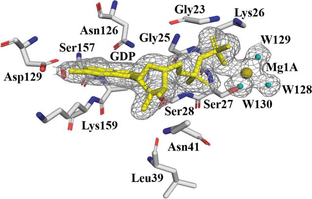 [Figure 3]