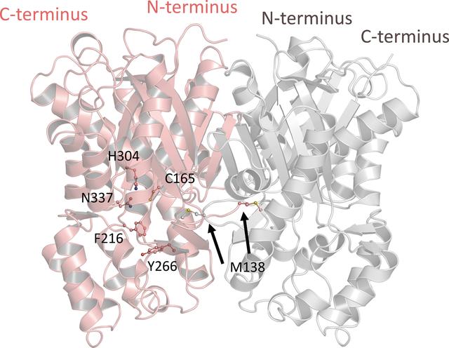 [Figure 1]