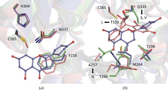 [Figure 2]