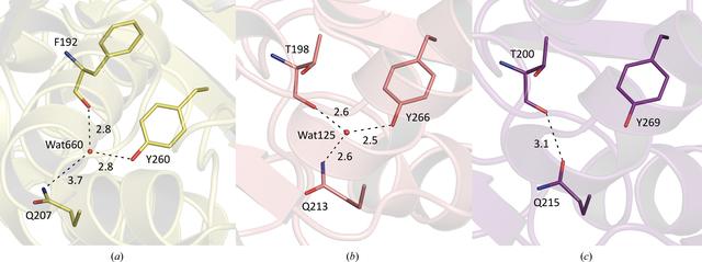 [Figure 3]