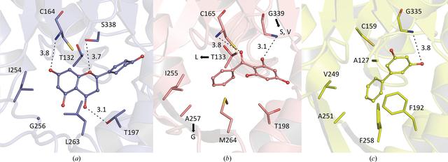 [Figure 4]