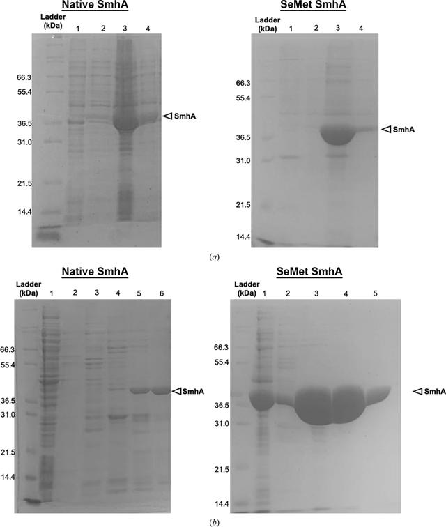 [Figure 3]