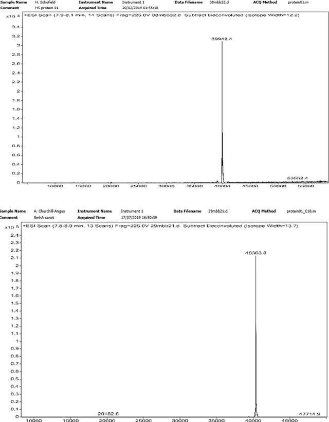 [Figure 4]