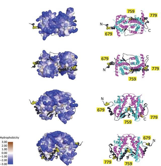 [Figure 6]