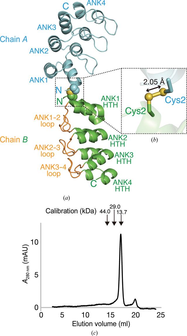 [Figure 1]