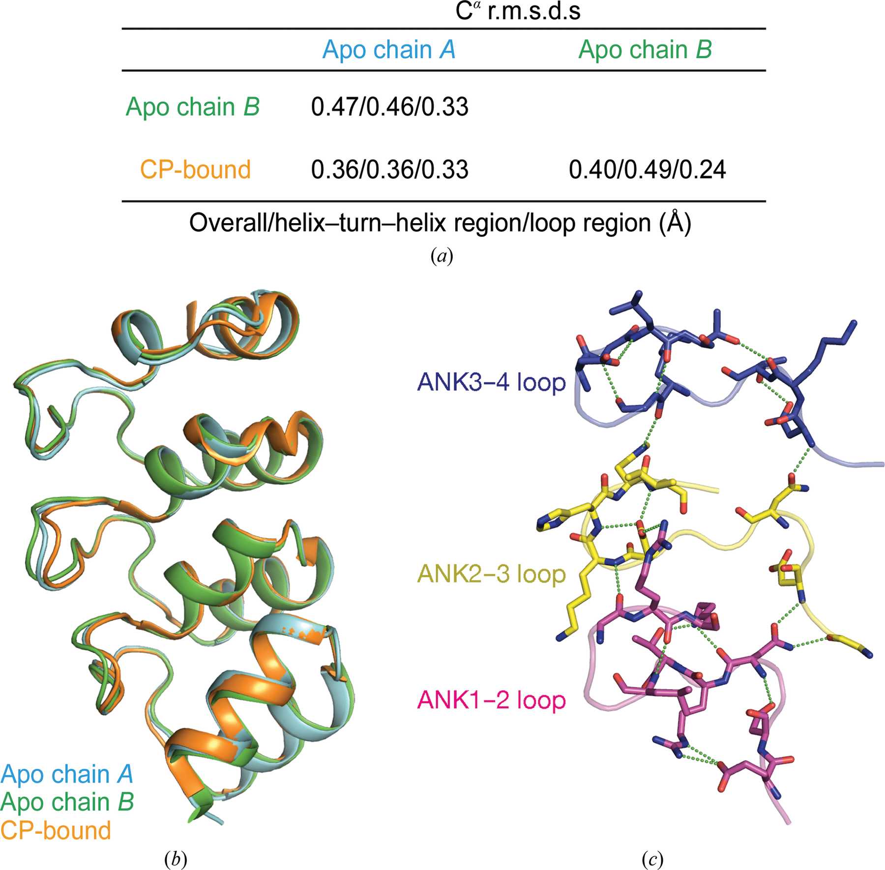 (IUCr) Crystal structure of human V-1 in the apo form