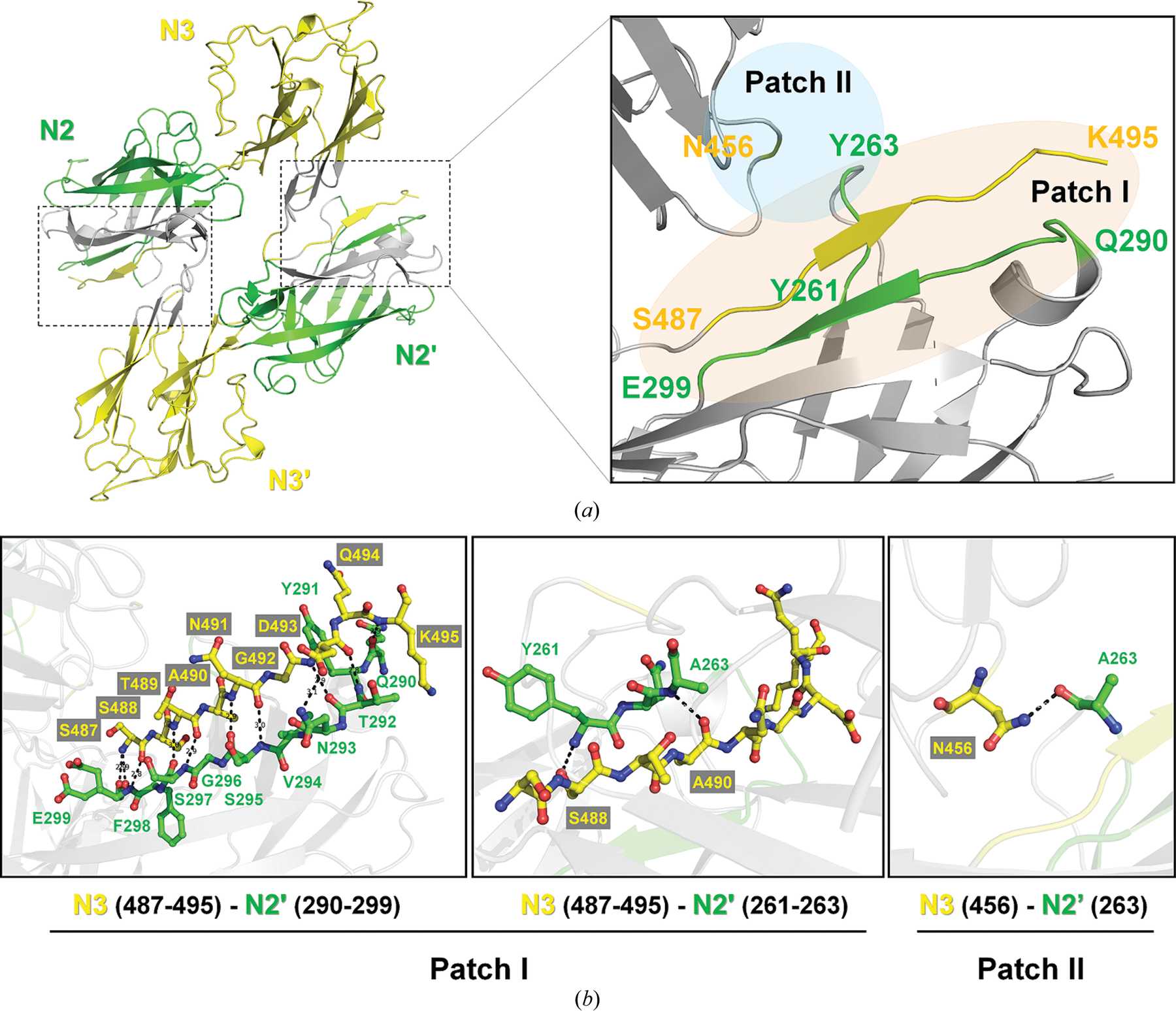 (IUCr) Structural insights into the intermolecular interaction of the ...