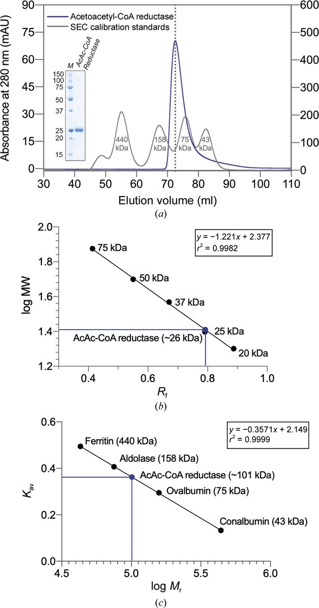 [Figure 1]