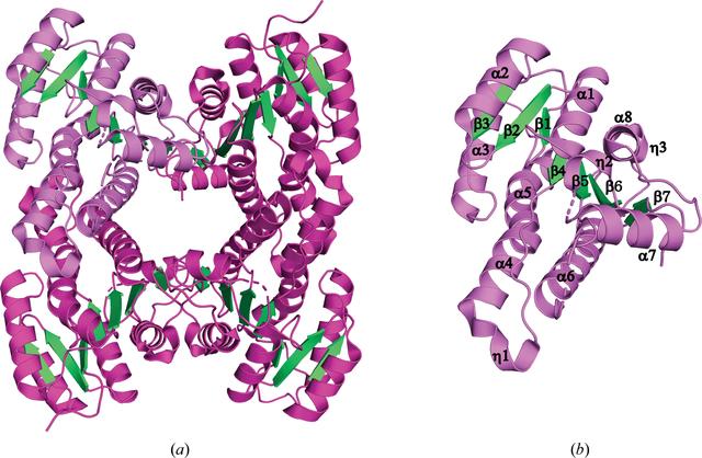 [Figure 2]