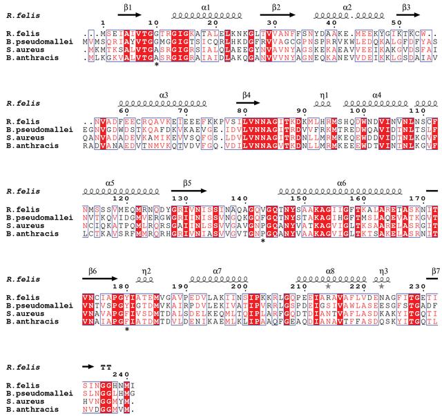 [Figure 3]