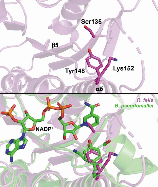 [Figure 4]