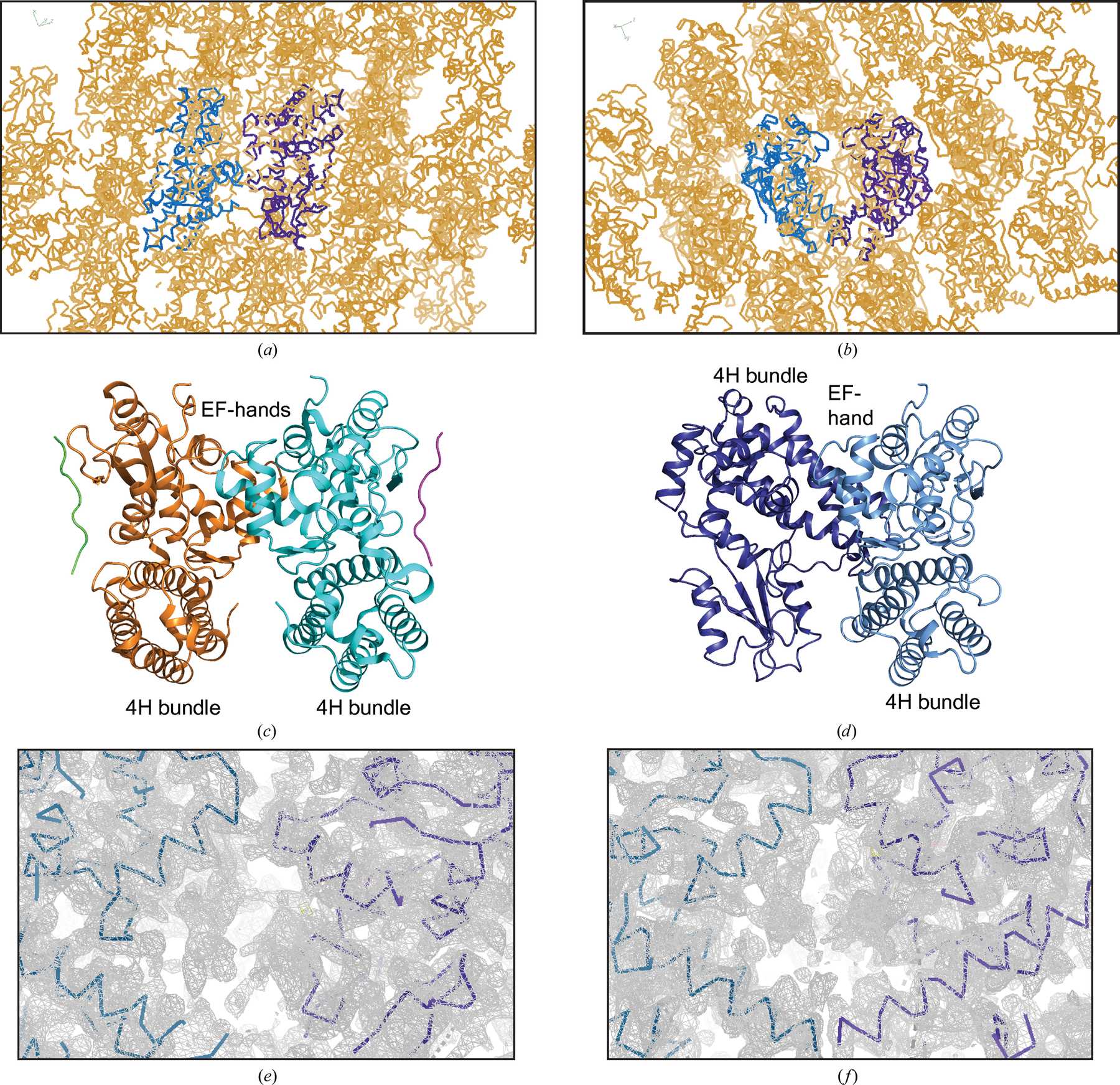 (IUCr) Sleuthing biochemical evidence to elucidate unassigned electron ...
