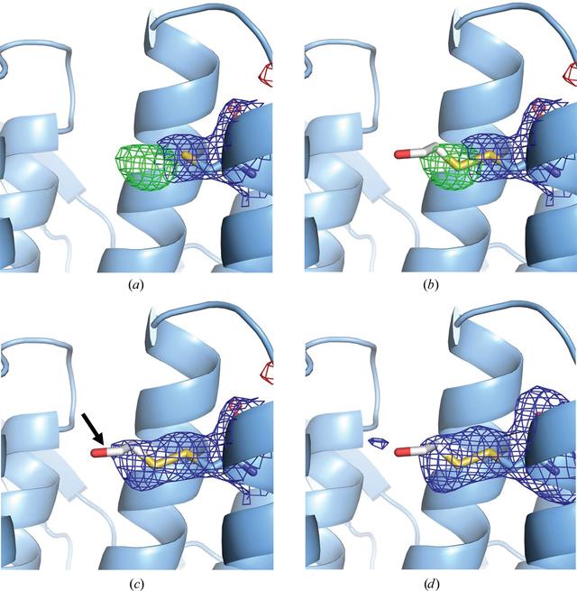 [Figure 1]