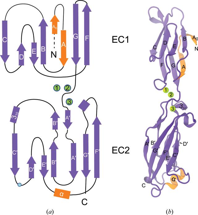 [Figure 3]