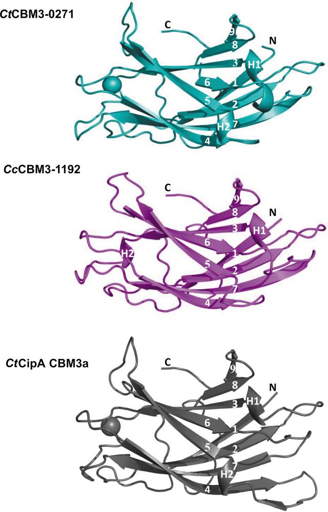 [Figure 3]