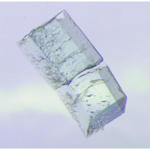 Iucr Preliminary Results Of Neutron And X Ray Diffraction Data Collection On A Lytic Polysaccharide Monooxygenase Under Reduced And Acidic Conditions