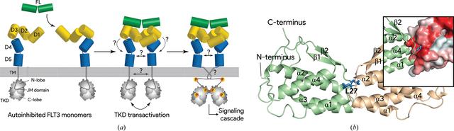 [Figure 1]