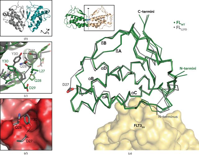 [Figure 4]