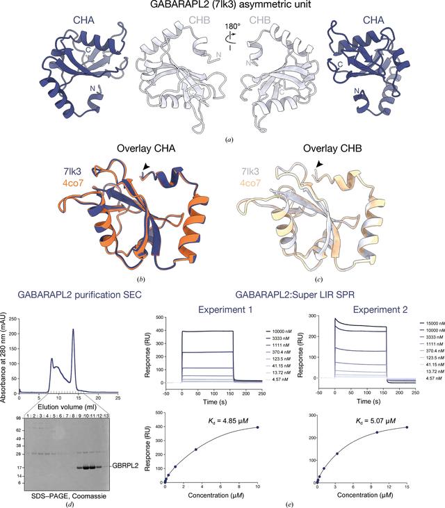 [Figure 1]