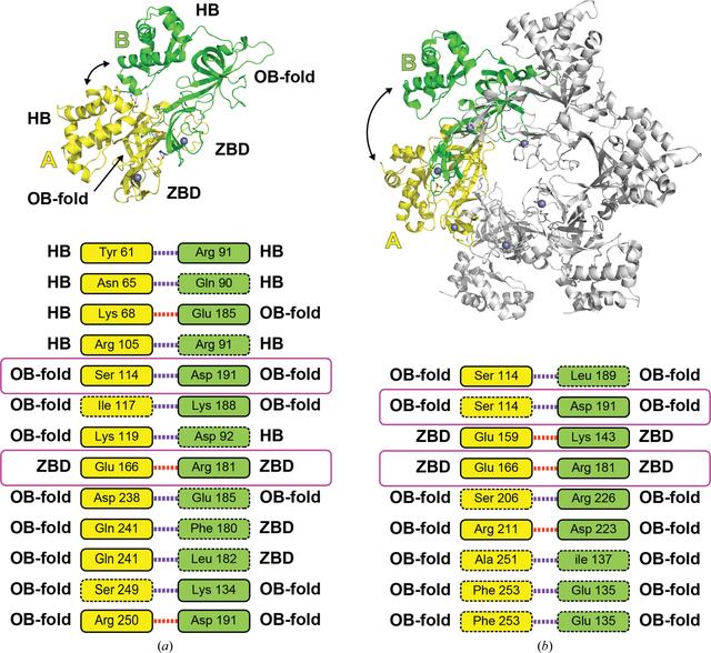 [Figure 2]