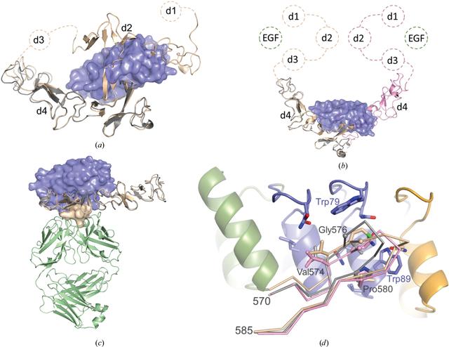 [Figure 2]