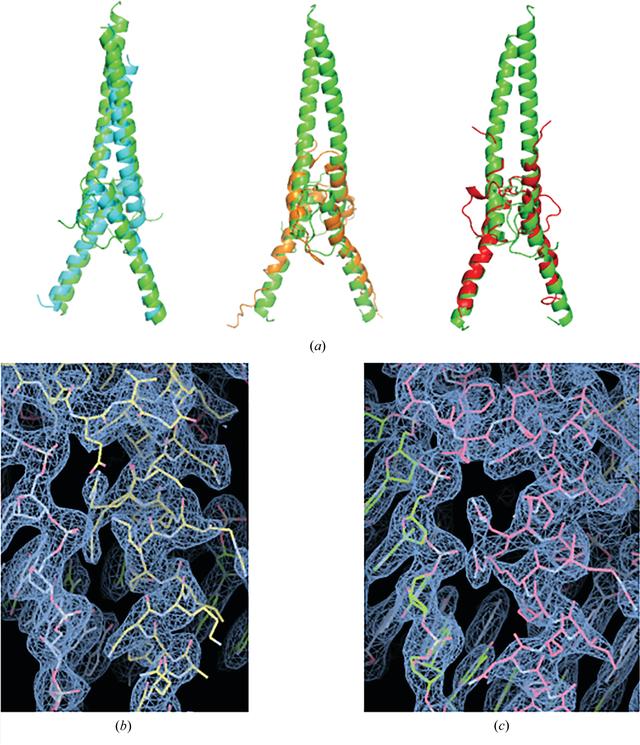 [Figure 3]