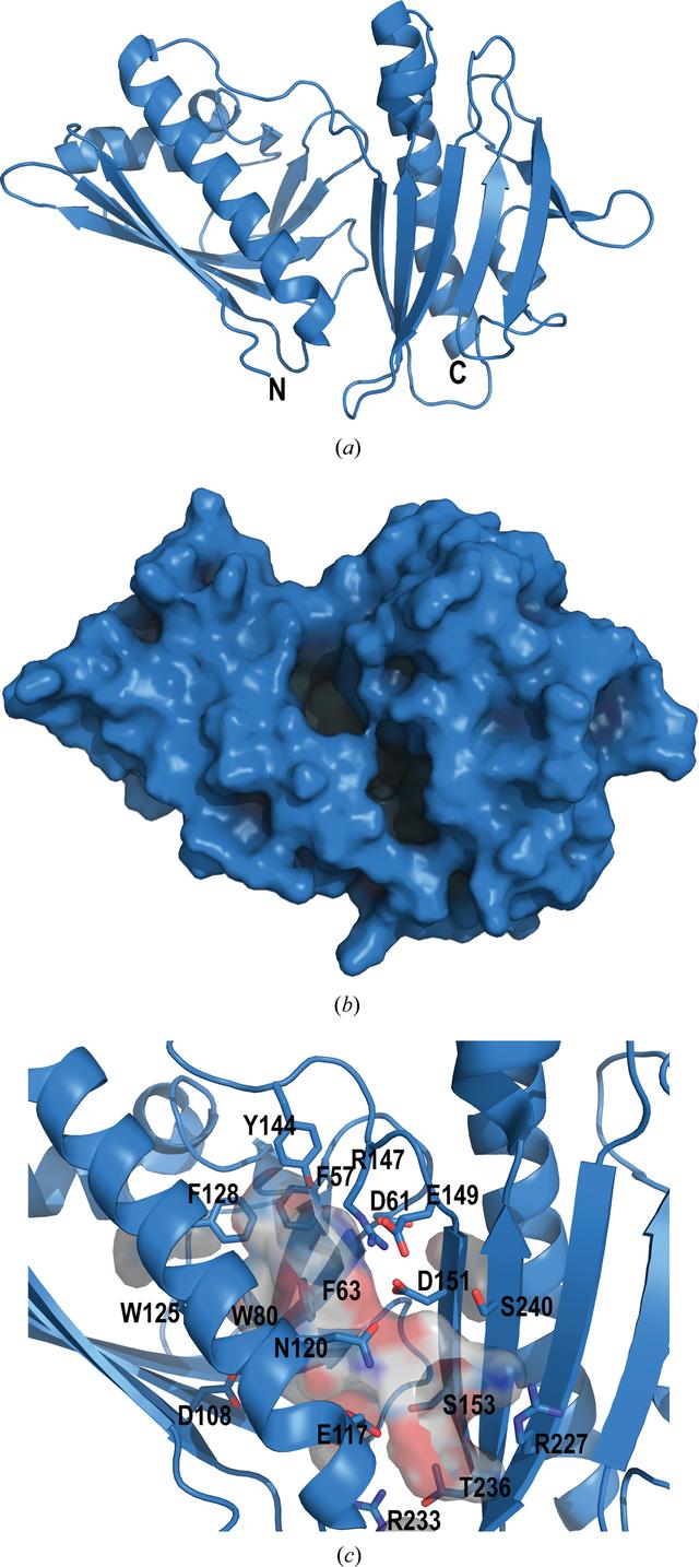 [Figure 2]