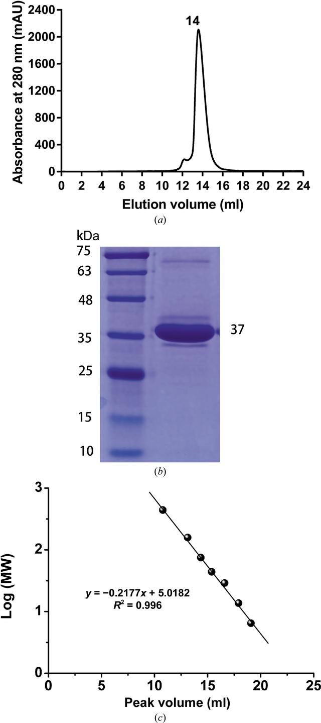 [Figure 1]