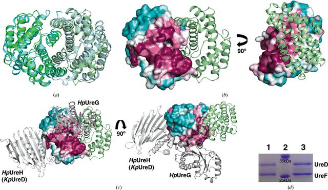 [Figure 3]