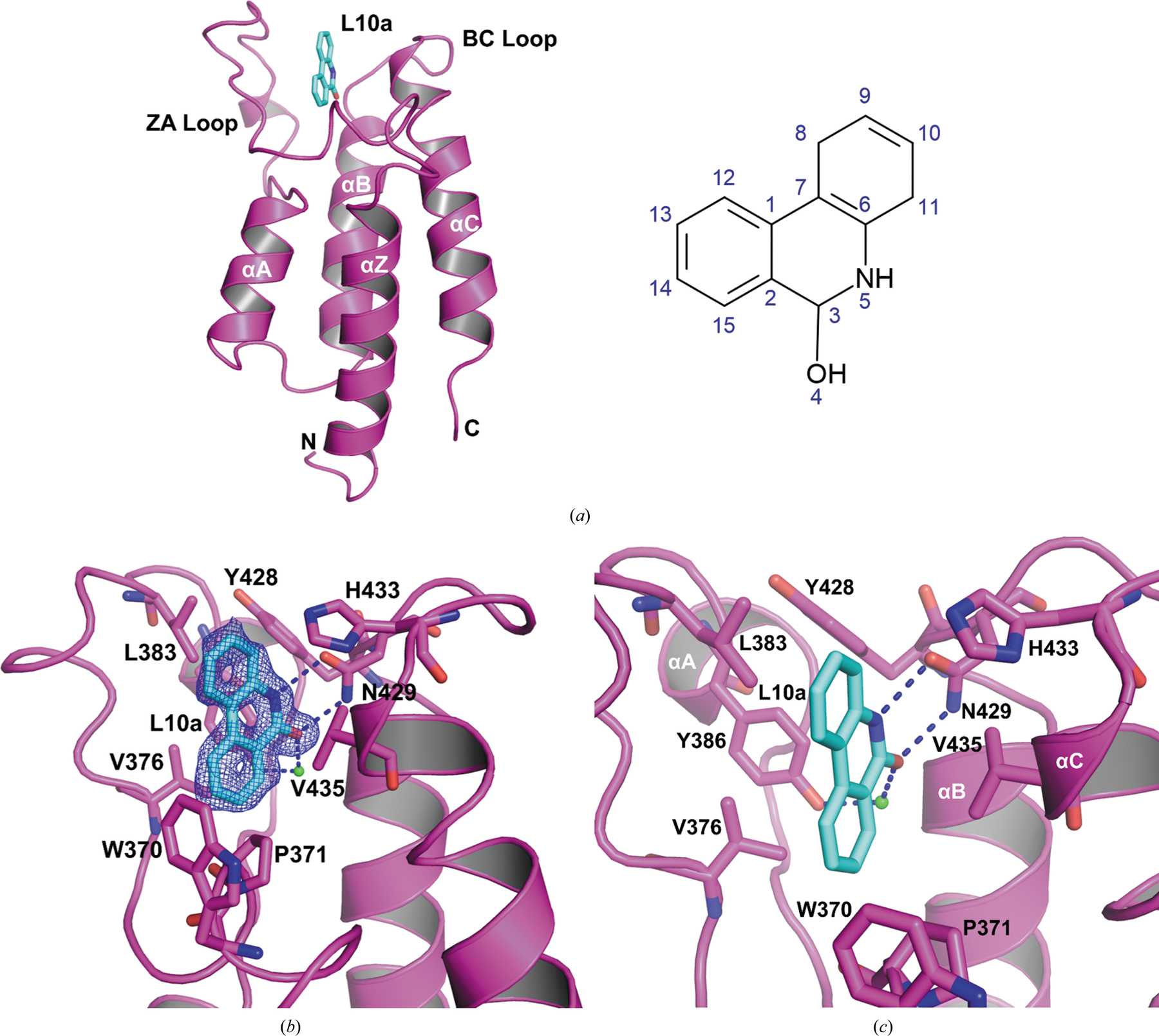 (IUCr) Structural investigation of a pyrano-1,3-oxazine derivative and ...