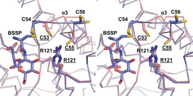 [Figure 3]