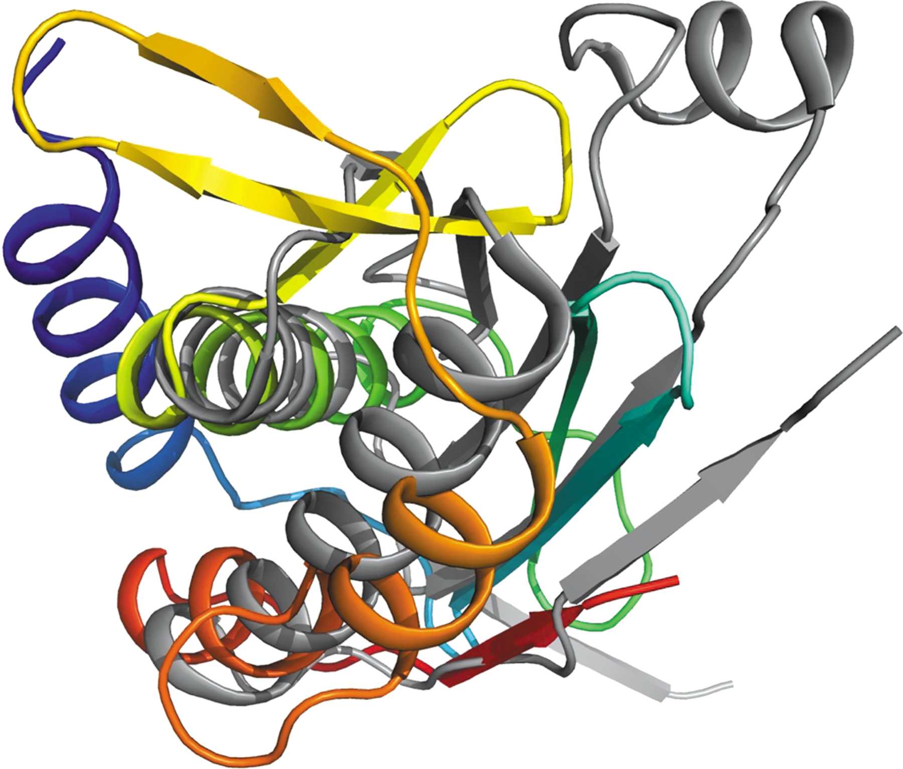 (IUCr) Structural study of Legionella pneumophila effector DotY ...