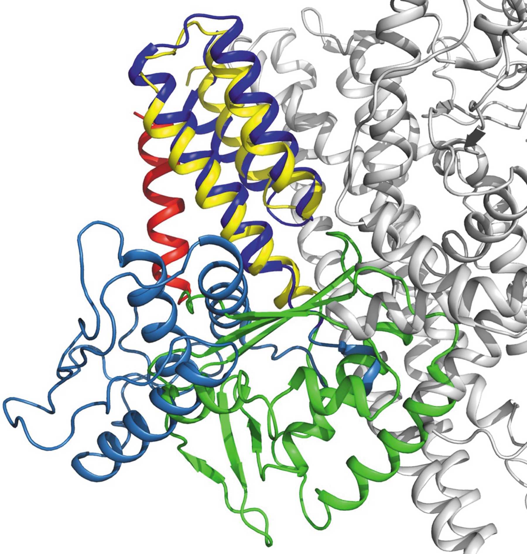 (IUCr) Structural study of Legionella pneumophila effector DotY ...