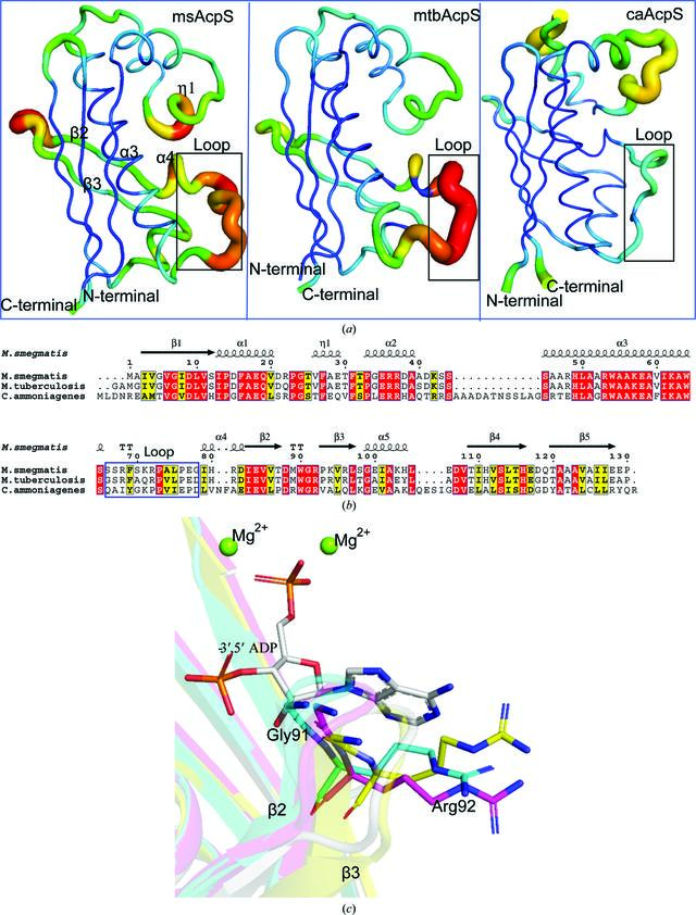 [Figure 6]