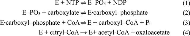 [Figure 1]