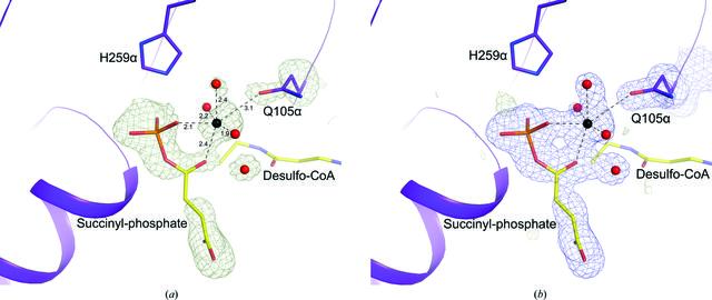 [Figure 3]