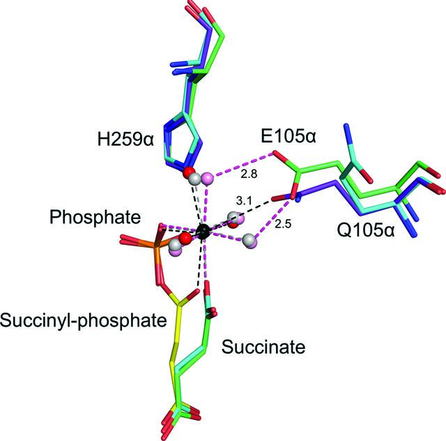 [Figure 4]