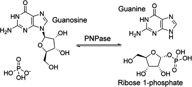 [Figure 1]