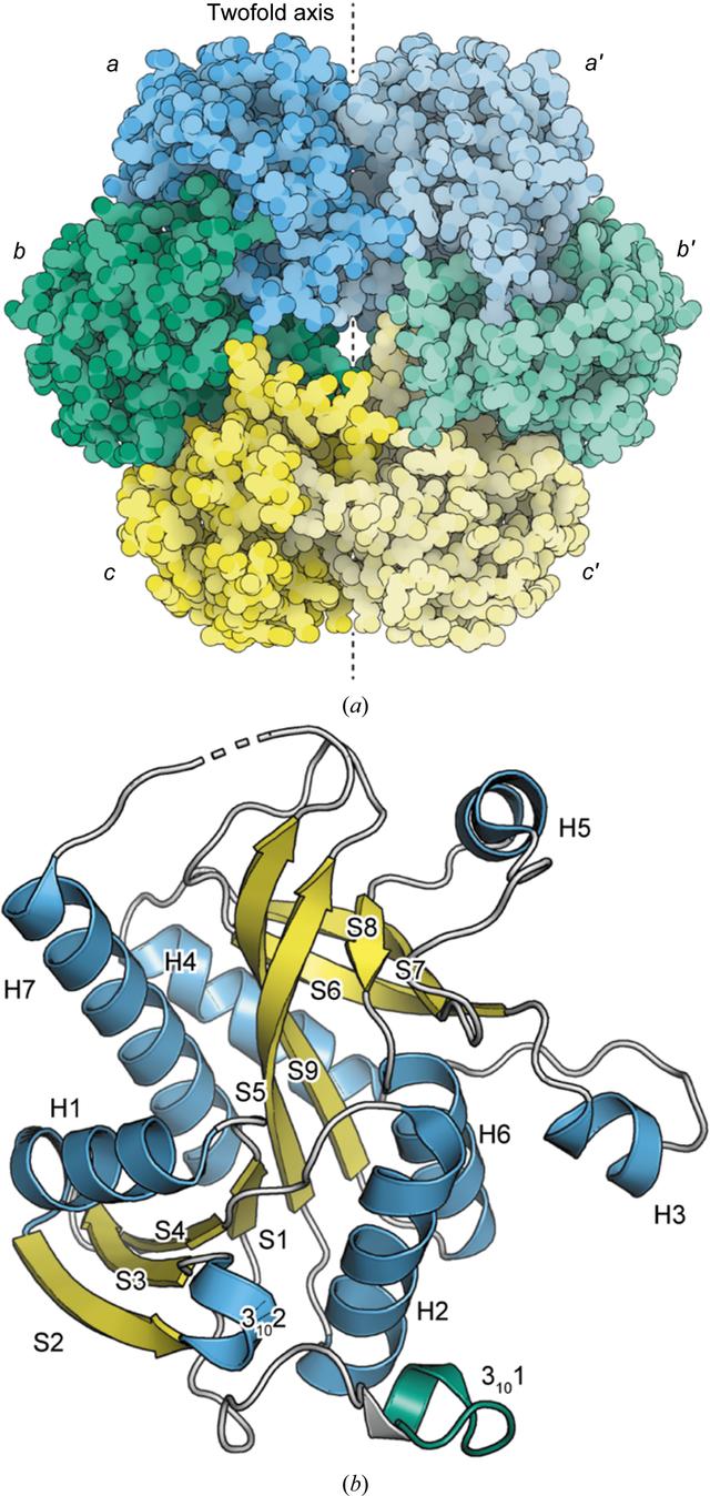 [Figure 2]