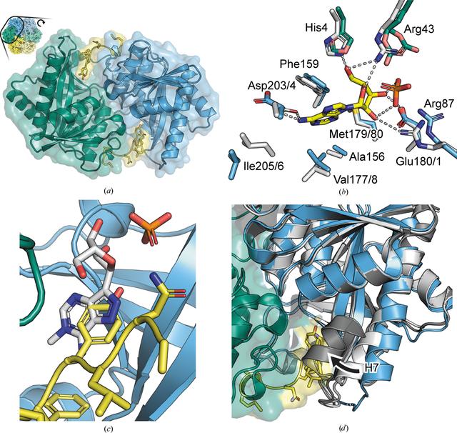 [Figure 3]