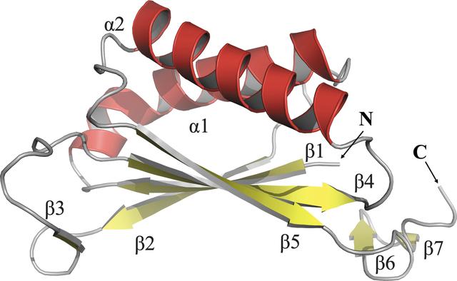 [Figure 1]