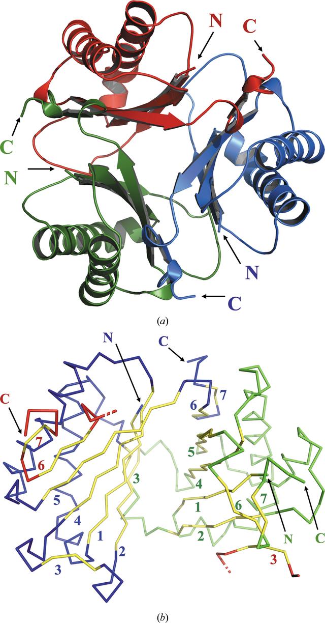 [Figure 2]