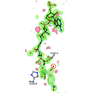 IUCr) Structures of chloramphenicol acetyltransferase III and