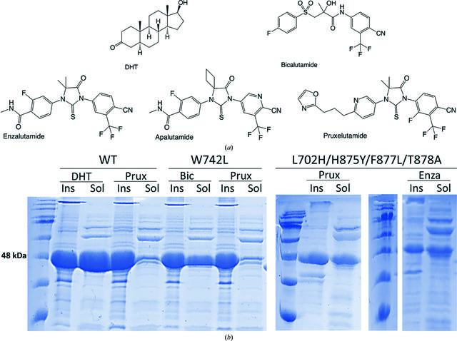 [Figure 1]