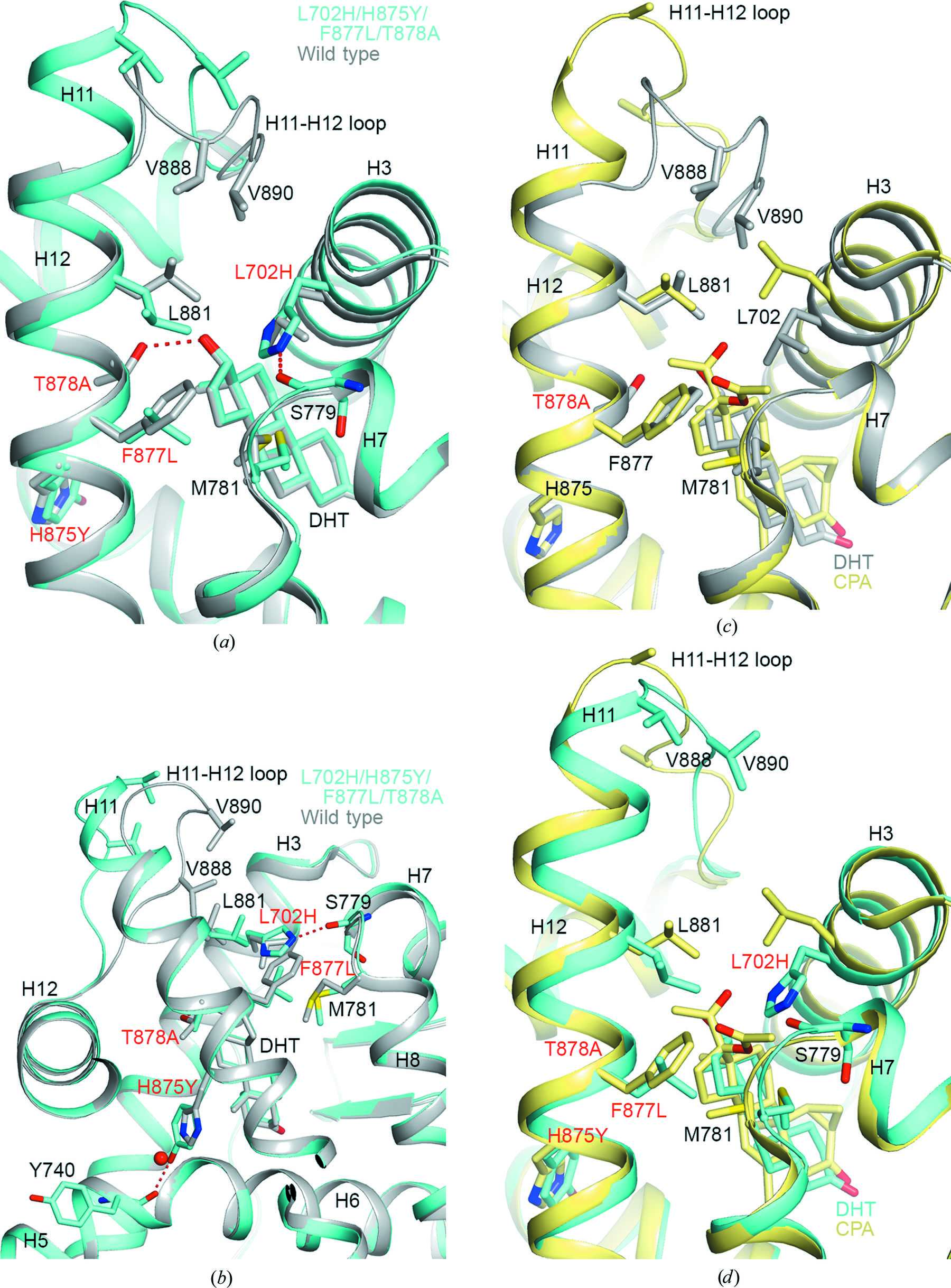 (IUCr) A partially open conformation of an androgen receptor ligand ...