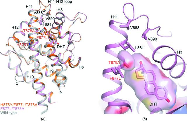 [Figure 4]